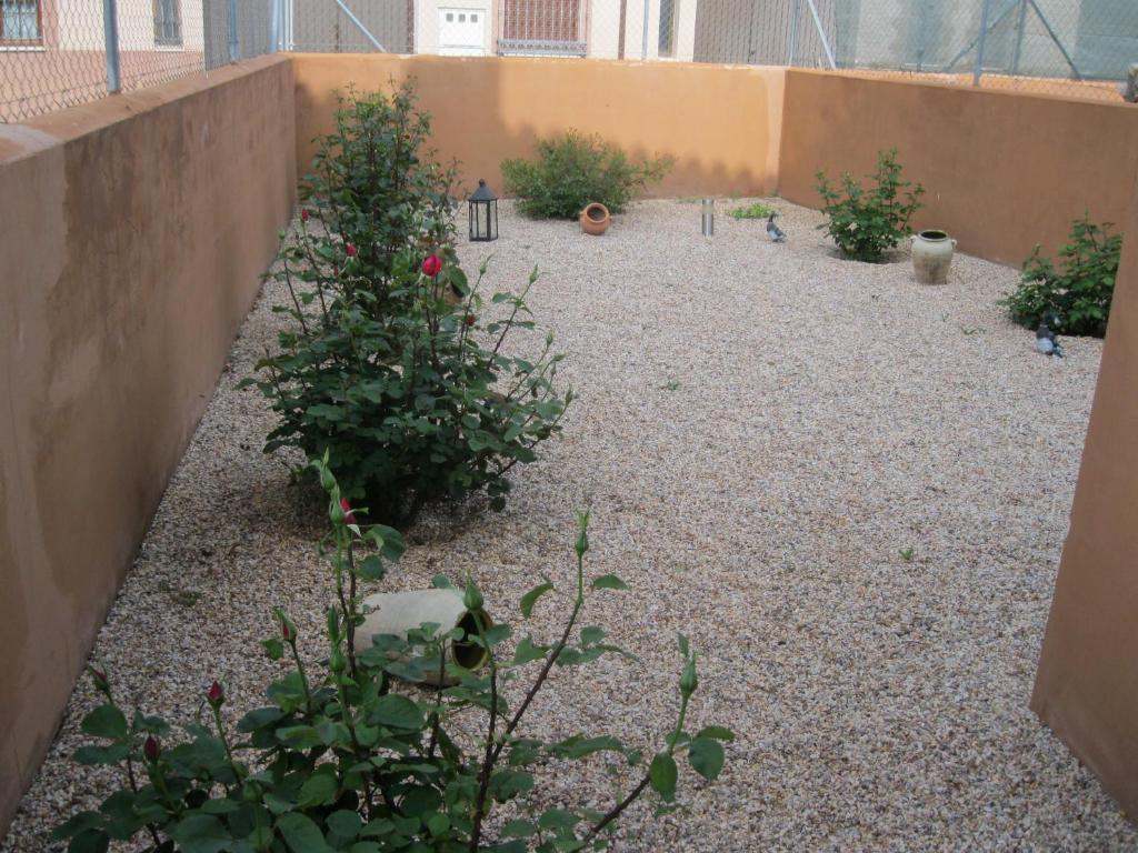 Hostal Sol De La Vega الباراثين المظهر الخارجي الصورة